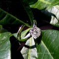 Hot Sales Classic 925 Silver 1CT Moissanite Ring